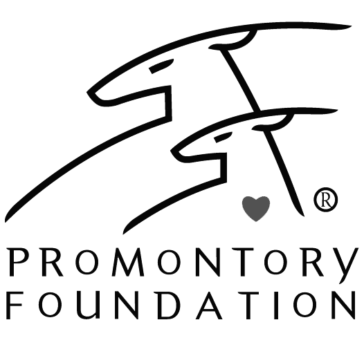 promontory logo copy